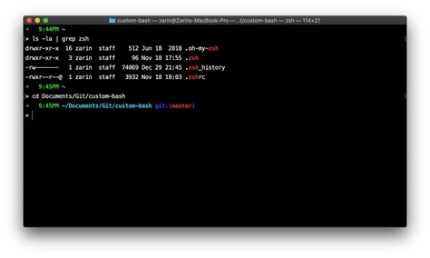 Terminal Z .